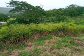 Residential Lot for Sale in Falmouth