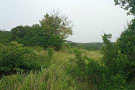 Residential Lot for Sale in Falmouth