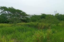 Residential Lot for Sale in Falmouth