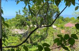 Residential Lot for Sale in Tower Isle