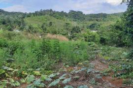 Residential Lot for Sale in Steer Town