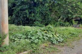 Residential Lot for Sale in Steer Town