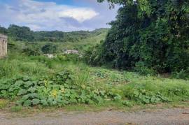 Residential Lot for Sale in Steer Town