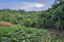 Residential Lot for Sale in Steer Town