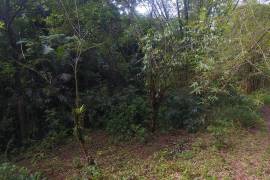 Residential Lot for Private in Port Antonio