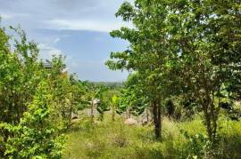 Residential Lot for Sale in Spanish Town