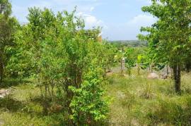 Residential Lot for Sale in Spanish Town