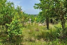 Residential Lot for Sale in Spanish Town