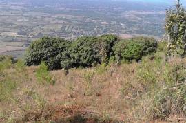 Residential Lot for Sale in Malvern