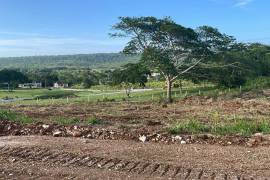 Residential Lot for Sale in Falmouth