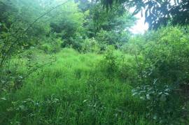 Residential Lot for Sale in Pepper