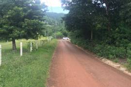 Residential Lot for Sale in Pepper