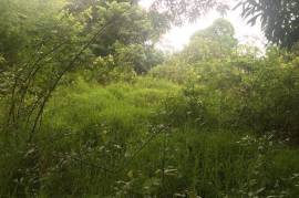 Residential Lot for Sale in Pepper