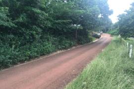 Residential Lot for Sale in Pepper