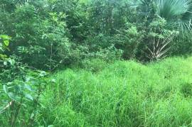 Residential Lot for Sale in Pepper