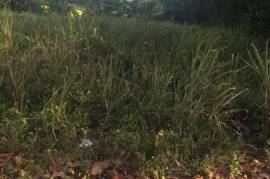 Residential Lot for Sale in Tower Isle