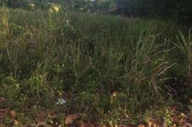 Residential Lot for Sale in Tower Isle