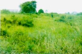 Residential Lot for Sale in Retreat