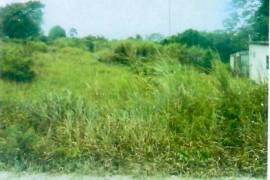 Residential Lot for Sale in Retreat