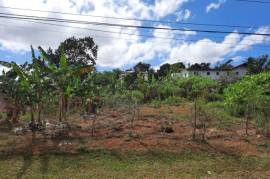 Residential Lot for Sale in Mandeville