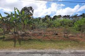 Residential Lot for Sale in Mandeville