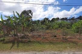 Residential Lot for Sale in Mandeville