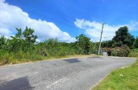 Residential Lot for Sale in Carron Hall