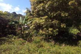 Residential Lot for Sale in Manchioneal