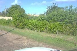 Residential Lot for Sale in Discovery Bay