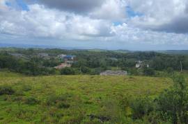 Residential Lot for Sale in Mandeville