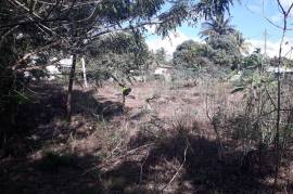 Residential Lot for Sale in Linstead