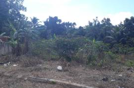 Residential Lot for Sale in Linstead