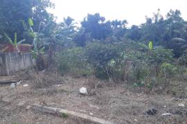 Residential Lot for Sale in Linstead