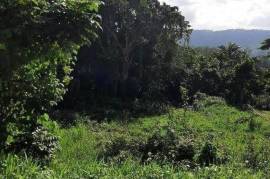 Residential Lot for Sale in Retreat