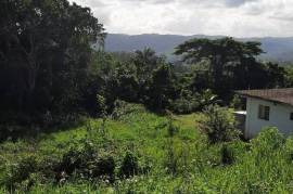 Residential Lot for Sale in Retreat