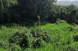 Residential Lot for Sale in Retreat