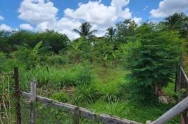 Residential Lot for Sale in Spanish Town