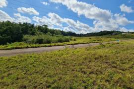 Residential Lot for Sale in Knockpatrick