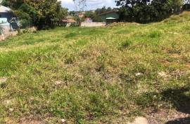 Residential Lot for Sale in Hat Field