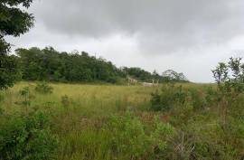 Residential Lot for Sale in Mandeville