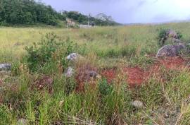 Residential Lot for Sale in Mandeville