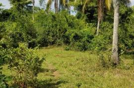 Residential Lot for Sale in Lacovia