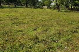 Residential Lot for Sale in Lacovia