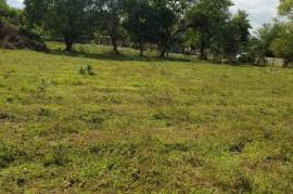 Residential Lot for Sale in Lacovia