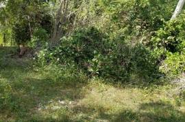 Residential Lot for Sale in Lacovia