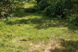 Residential Lot for Sale in Lacovia