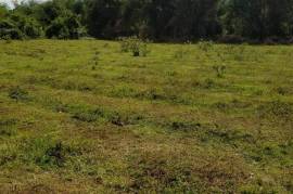 Residential Lot for Sale in Lacovia