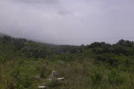 Residential Lot for Sale in Negril