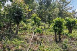 Residential Lot for Sale in Mandeville