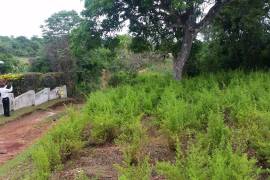 Residential Lot for Sale in Mandeville